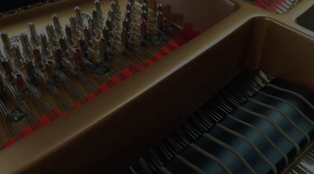 The strings and hammers inside a piano